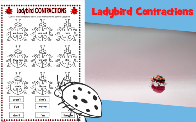 Ladybird Contractions
